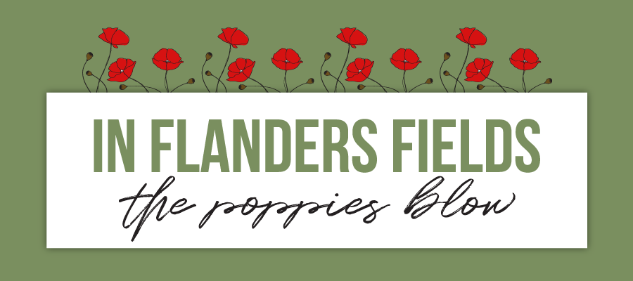 FREE! - Flanders Field, Remembrance Day Poem