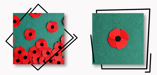Show Your Support this Remembrance Day with Aspinline