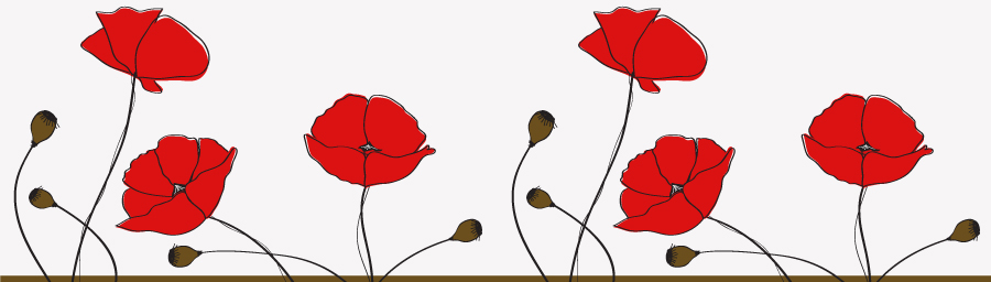 Show Your Support this Remembrance Day with Aspinline