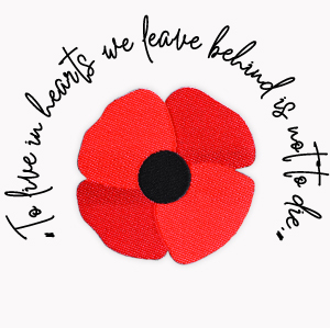 Show Your Support this Remembrance Day with Aspinline